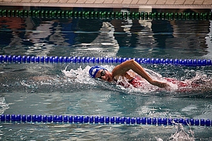 Image-2235